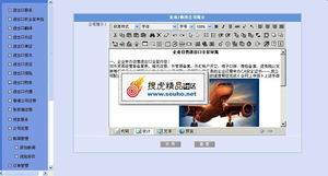 專業進出口服務公司整站解決方案 美工大氣后臺完整，精品源碼共享